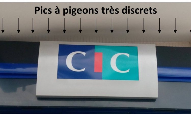 Solution discrète pour éloignement des pigeons avec les pics à pigeons
